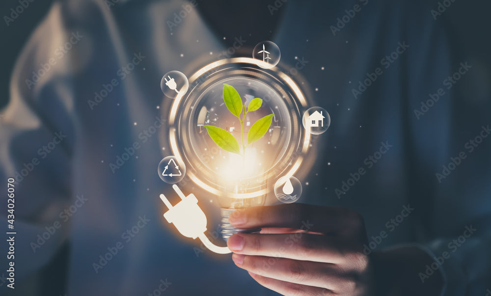 Green Initiative: The Rise of renewable energies in the U.S