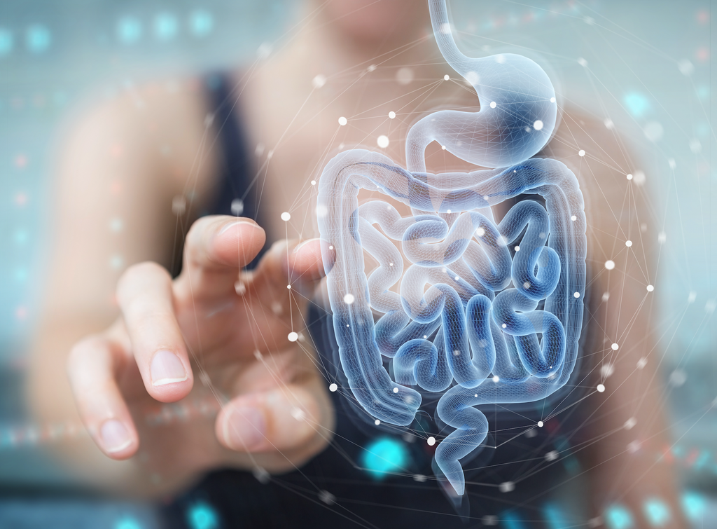 The Gut-Brain Connection: Exploring the Link Between Gut Health and Mental Health