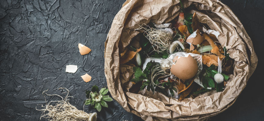 COMPOSTING! TAKE THE GREENER PATH