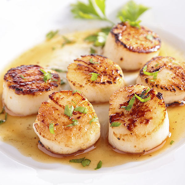 Massachusetts Scallops
