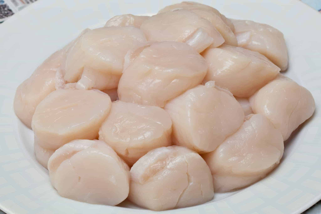 Massachusetts Scallops